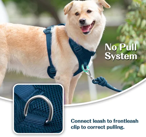Miniatura 3 de Arnés sin tirones para perros pequeños, medianos y grandes, chaleco de malla ajustable de 2 capas con doble clip, a prueba de escapes, liberación