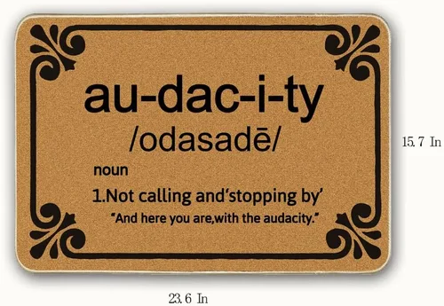 Miniatura 3 de Assaoy Audactidy - Tapete de entrada al aire libre, divertido felpudo para interiores y exteriores, tapete de goma para entrada interior, alfombra Ho