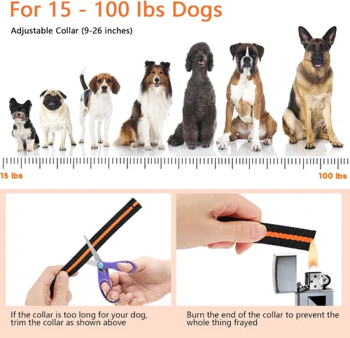 Miniatura 7 de Collar de entrenamiento para perros, collar de choque para perros IPX7 impermeable con control remoto de alcance de 1300 pies, 3 modos de Naranja