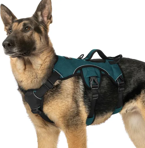 Miniatura 50 de rabbitgoo - Arnés para perro a prueba de fugas, arnés para mascotas acolchado suave de cuerpo completo, chaleco reflectante ajustable sin tirones