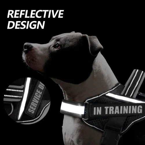 Miniatura 5 de in Training Service - Juego de arnés y parches para perro, con 10 parches para perros, chaleco reflectante con asa para perros pequeños, medianos