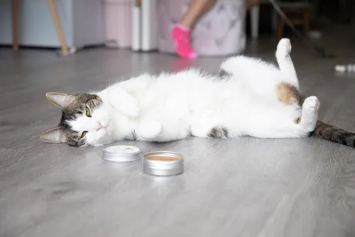 Miniatura 4 de Meowy Janes Catnip - Paquete de polvo variado alternativo de hierba gatera Keef, polvo de vid plateada y polvo de raíz de valeriana en polvo