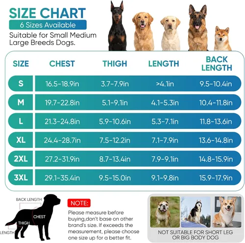 Miniatura 5 de Rodillera para perro para pierna trasera, pierna trasera, ACL, soporte ajustable para piernas de perro doble con estabilizadores, ayuda con desgarro