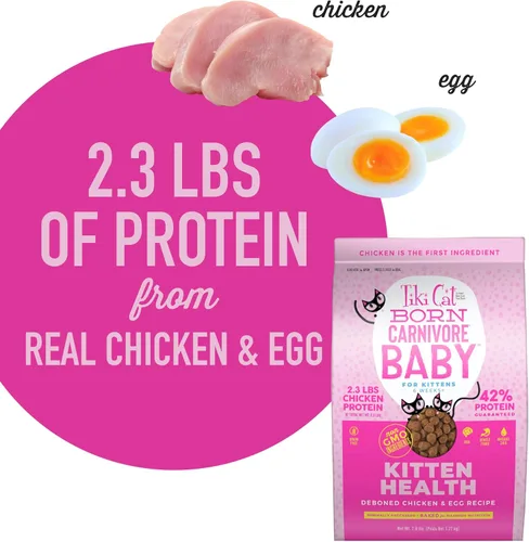 Miniatura 6 de Tiki Cat Born Carnivore Baby Kitten Health Alimento seco para gatos, pollo y huevo deshuesados, bolsa de 2.8 libras