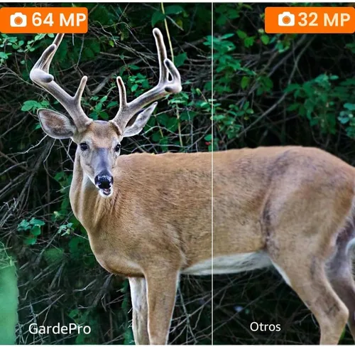 Miniatura 3 de GardePro Cámara A3S Trail (no celular, sin WiFi), rendimiento mejorado con poca luz, foto de 64 MP y video HD 1296P, disparador de 0.1s, visión A3S