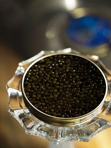 Miniatura 2 de Kaluga Hybrid Sturgeon Caviar 100g (3.5 oz)