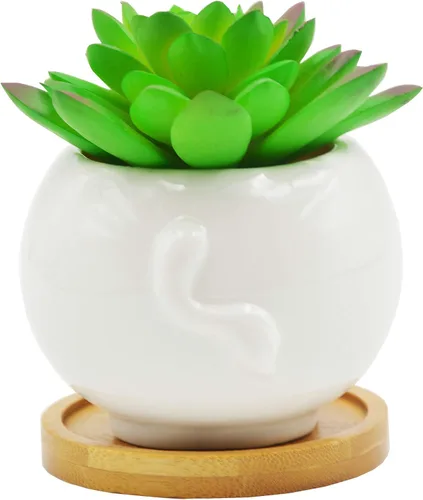 Miniatura 6 de Cuteforyou Macetas para suculentas, bonita maceta de cerámica con forma de vaca de dibujos animados para suculentas/cactus/flores, soportes
