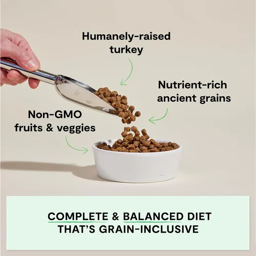 Miniatura 2 de Open Farm, alimento seco para perros con granos ancestrales, rico en proteínas y nutrientes, 90% de proteína animal mezclada con frutas, verduras