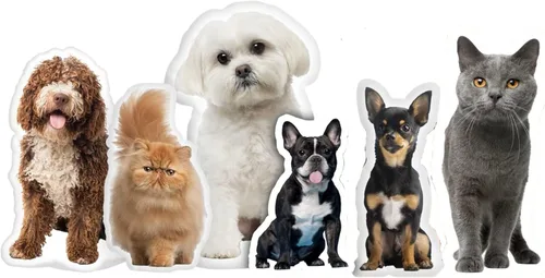 Almohadas personalizadas con forma de mascota, almohada divertida personalizada con mascota/foto/personas, impresión fotográfica 3D doble cara, para