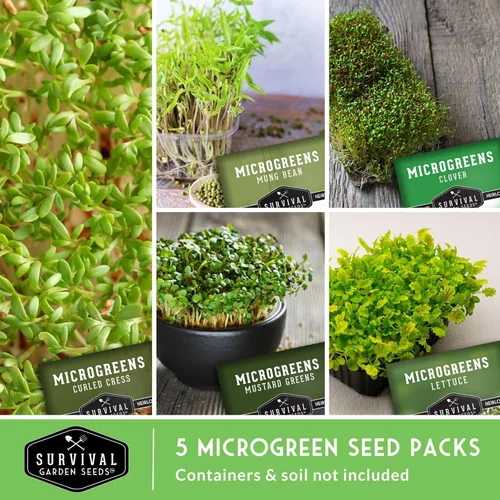 Miniatura 3 de Microgreens Seeds - Paquete de 5 variedades para germinar – Mostaza, frijol mungo, berro rizado, trébol y semillas de lechuga para interiores