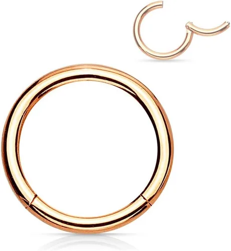 Miniatura 45 de Forbidden Body Jewelry - Piercing para la nariz de acero quirúrgico 316L con bisagra, 14G, 16G, 18G, diámetro de 15/64, 5/16, 25/64, 15/32 pulgadas