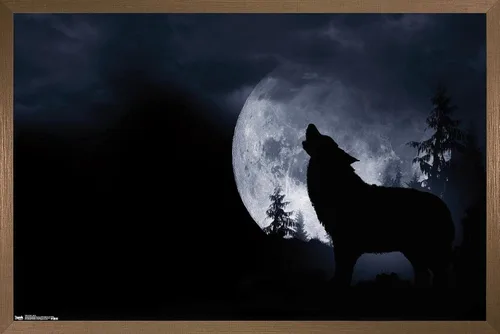 Miniatura 17 de Trends International Póster de pared de lobo - aullido, 14.725 x 22.375 pulgadas, versión enmarcada de madera de granero