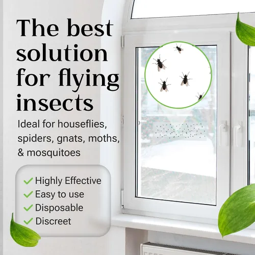 Miniatura 6 de Trampa para moscas en interiores o exteriores Las trampas para moscas de ventana son transparentes y transparentes También para polillas