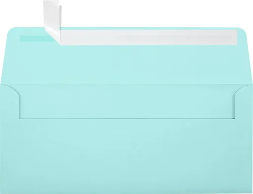 Miniatura 29 de LUXPaper Sobres comerciales #10 4 1/8 pulgadas x 9 1/2 pulgadas Verde pastel Texto de 60 libras 250