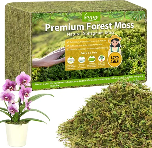 Miniatura 11 de Legigo Musgo esfagnum de 3.5 onzas para plantas, mezcla para macetas de musgo de orquídea natural de 4 cuartos de galón, mezcla seca, musgo