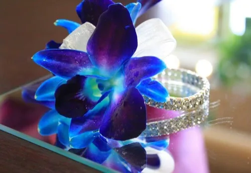 Miniatura 4 de Miami Fresh Orchid Flower OrchidClub USA Sunne Tropical Loose Bloom Head DIY Lei Food Drink Decoración AZUL (100 AZUL REAL)