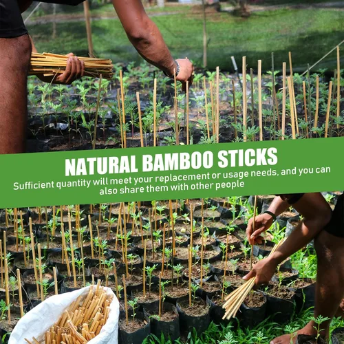 Miniatura 6 de Suclain Juego de 30 estacas de bambú para plantas trepadoras, estacas de bambú resistentes para tomates, frijoles, flores y plantas en maceta