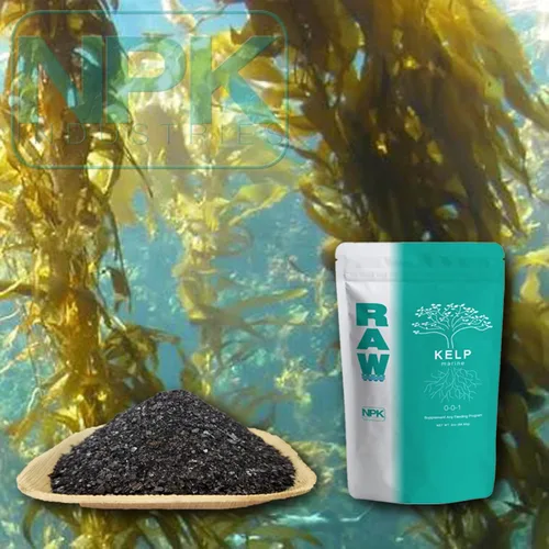 Miniatura 3 de RAW Kelp Marine - Fertilizante de refuerzo del crecimiento de plantas soluble en agua para el desarrollo de raíces y el crecimiento de plantas, 2