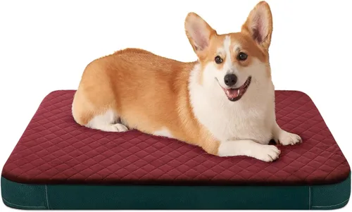 Cama para perros medianos, cama ortopédica de espuma para perros, colchón para dormir de mascotas para aliviar las articulaciones, parte inferior