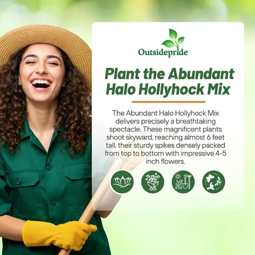 Miniatura 5 de Outsidepride Halo Hollyhock Seeds - 25 piezas de semillas de flores tolerantes a la sequía de larga duración con flores semiprecibles para jardines