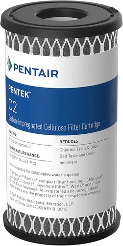 Pentair Pentek Filtro de Agua de Carbón C2, 5 Pulgadas, Cartucho de Repuesto de Celulosa Impregnada con Carbón Activado en Polvo de Doble Propósito