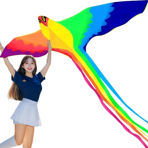 HENGDA KITE Cometa Phoenix, para niños y adultos, fácil de volar, excelente diseño de tela y estructura, las imágenes son hermosas en alta