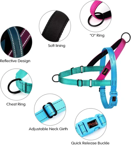 Miniatura 2 de Didog Arnés para Perros sin Jalón con Mango Acolchado Suave, Ajustable y Ligero, Chaleco de Ajuste Rápido, Fácil para Entrenamiento y Paseo para Azul