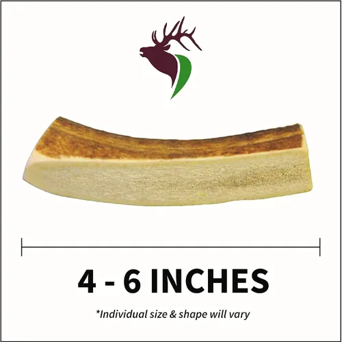 Miniatura 2 de Elkhorn Premium Chews - Paquete individual pequeño dividido (para perros y cachorros de 0 a 20 libras) asta de alce de grado premium para perros