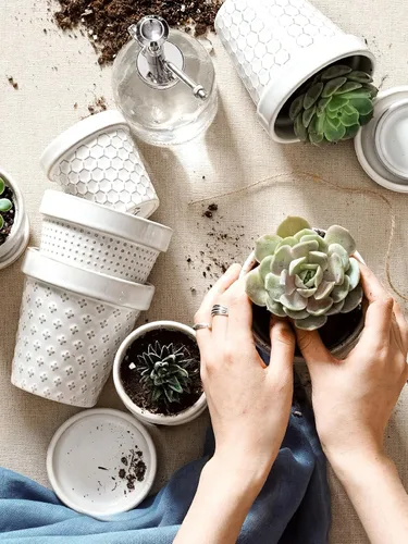 Miniatura 3 de LE TAUCI Macetas de cerámica para suculentas, maceta pequeña de 4 pulgadas para planta de interior cactus, macetas con flores en relieve