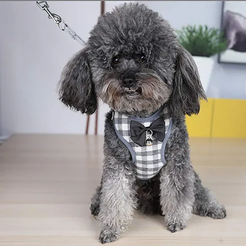 Miniatura 2 de Juego de arnés y correa para perro, malla suave sin tirones, arnés con campana de moño para perros pequeños, cachorros y gatos, entrenamiento
