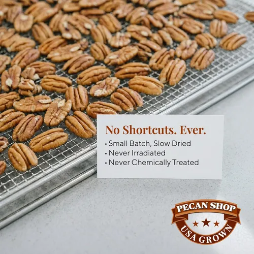 Miniatura 9 de Pecan Shop Mitades de nuez nativa de Texas para aperitivos, cosechadas silvestres, germinadas, ligeramente saladas al mar (2 libras)