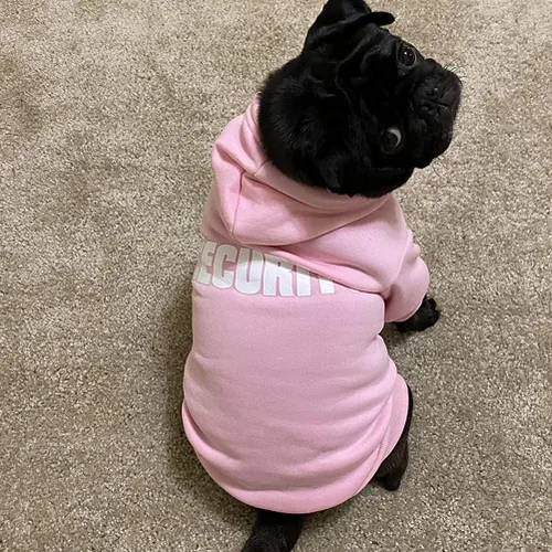 Miniatura 6 de BINGPET - Sudaderas con capucha de seguridad para perros, suéter para cachorros, abrigos para perros para clima frío, suéter con capucha de forro #1