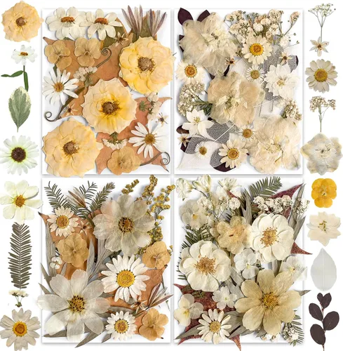 96 piezas de flores blancas secas y prensadas vintage para manualidades con resina - Juego de flores naturales reales de YouthBro con 50 calcomanías
