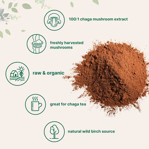 Miniatura 3 de Micro Ingredients Extracto orgánico de hongos Chaga, 10 onzas 100:1 cosechado silvestre Apoya la defensa inmune y antioxidante Ideal para té