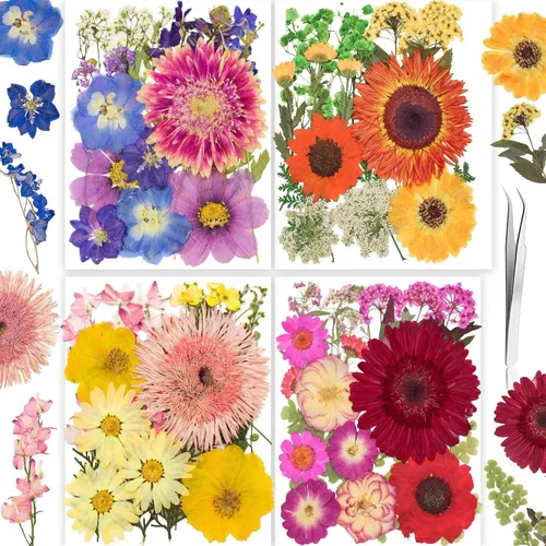 Miniatura 10 de 96 piezas de flores blancas secas y prensadas vintage para manualidades con resina - Juego de flores naturales reales de YouthBro con 50 calcomanías