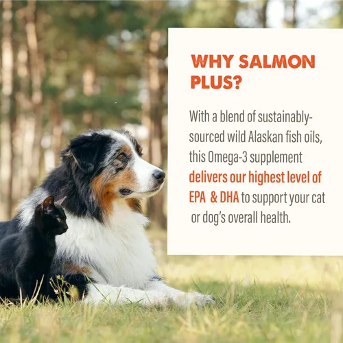 Miniatura 6 de Grizzly Pet Products Salmon Plus Omega 3-6-9 Suplemento alimenticio para perros y gatos, 16 onzas