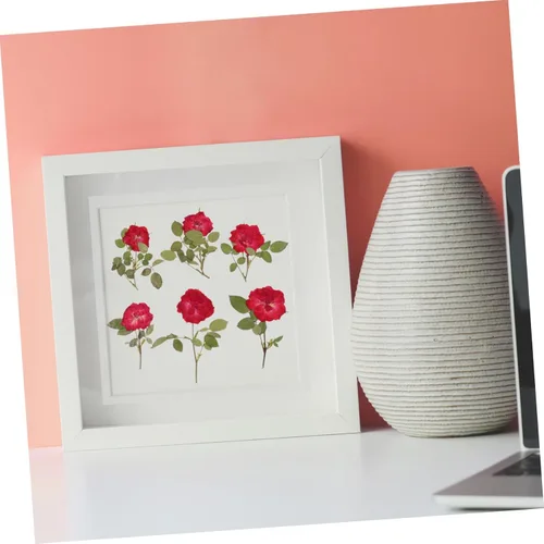 Miniatura 3 de EXCEART 1 juego de flores secas, hojas prensadas secas, tallo de pino prensado real para decorar hojas secas para hacer velas, decoración