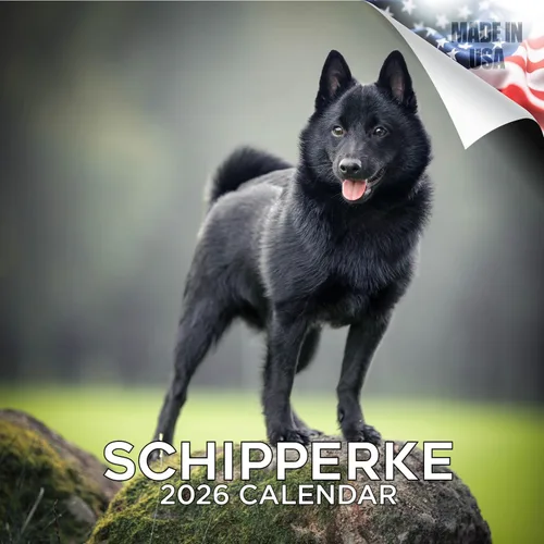 Miniatura 124 de Calendario 2025 2026 de cachorros Cocker Spaniel - Calendario mensual de pared de raza de perro - 12" x 24" abierto - Papel grueso sin sangrado