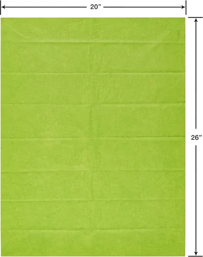 Miniatura 3 de Papyrus 8 hojas de papel de seda verde lima de 20 x 26 pulgadas para el día del padre, graduación, cumpleaños y todas las ocasiones