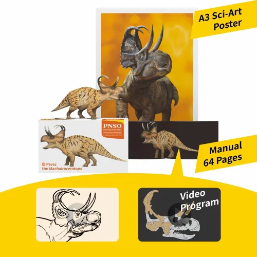 Miniatura 3 de PNSO Modelos de dinosaurios prehistóricos (41 Perez The Machairoceratops)