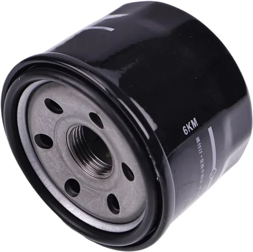 Miniatura 2 de Nuevo filtro de aceite 16510-87J00 compatible con Suzuki Boat DF25 DF30 DF40 DF50 DF60 DF70