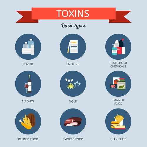 Miniatura 5 de Puriclean X2 Detox Cleanse - Limpiador de doble fuerza - Formulado con mezclas patentadas para el limpiador más fuerte - Elimina toxinas - 4