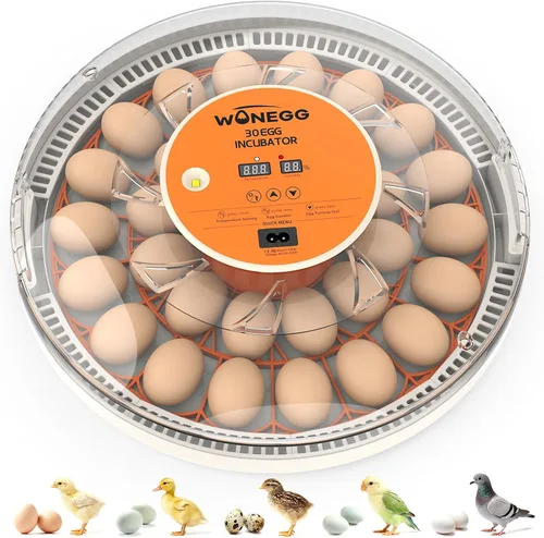30 incubadoras de huevos para incubar huevos con girador automático de huevos, control automático de temperatura, velas LED, monitor de humedad,