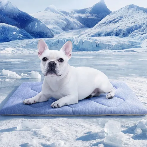 Miniatura 8 de ASENKU Tapete refrescante para perros, portátil y duradero, absorción física del calor, cama refrescante antideslizante y transpirable de verano Azul