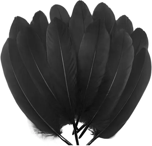 Miniatura 10 de 100 plumas de ganso marrón de 6 a 8 pulgadas para decoración de otoño, manualidades, ropa de cosplay, sombreros, accesorios, atrapasueños, Café