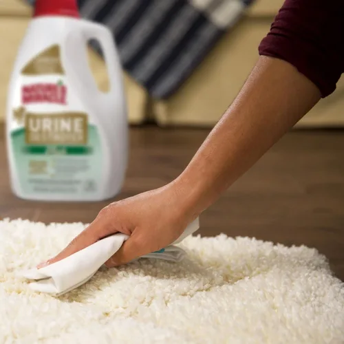 Miniatura 7 de Nature's Miracle Destructor de orina Plus para perros, fórmula enzimática para manchas severas de orina de perros, 1 galón