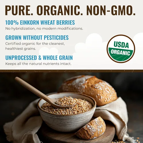 Miniatura 6 de Grand Teton Ancient Grains - Bayas de Einkorn 100% orgánicas, Farro Piccolo de grado alimenticio de primera calidad, para moler en harina, hornear