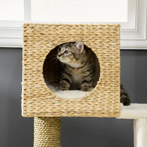 Miniatura 8 de PawHut Cattail Weave - Árbol para gatos de interior, torre de gatito con condominio de ratán para gatos, cama de mimbre, escalera, cojines lavables