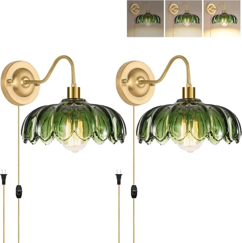 ZECOXOL Juego de 2 apliques de pared vintage enchufables, lámpara de pared regulable con cable de enchufe y pantalla de cristal de flores, apliques