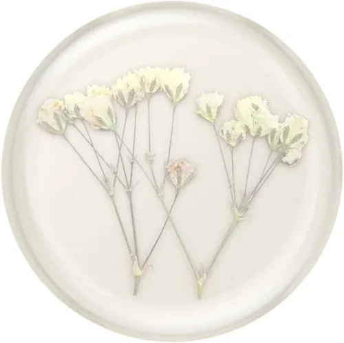 Miniatura 5 de PopSockets Agarre para Teléfono con Soporte Expandible, Agarre Adhesivo - Flor Prensada Aliento de Bebé Plumeria